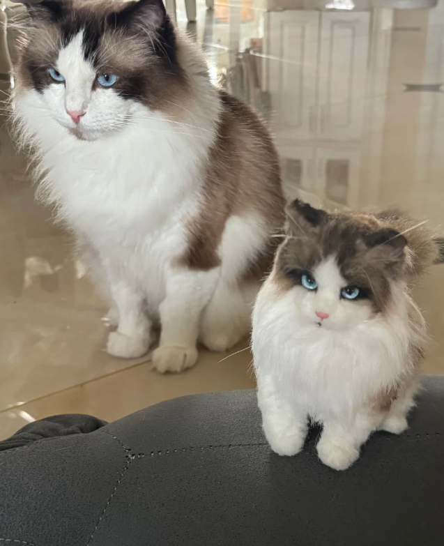 Customer photo of a felted portrait