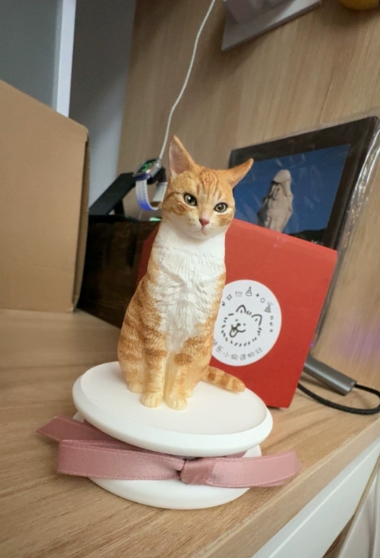 Customer photo of a printed figure