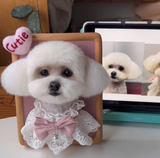 Customer photo of a felted portrait