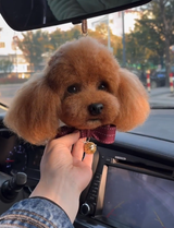 Customer photo of a felted portrait